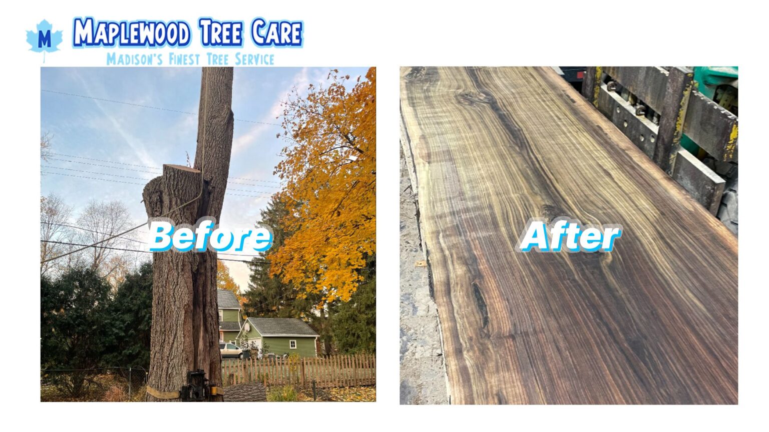 January_Sawmill_Ad_frame-1536x864